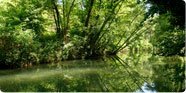 Office de Tourisme Sarlat, tourisme en Dordogne, tourisme en Prigord, gtes prs de Sarlat, camping autour de Sarlat